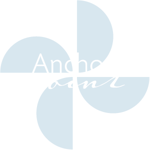 Anchor Point Village Logo